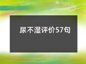 尿不濕評價(jià)57句