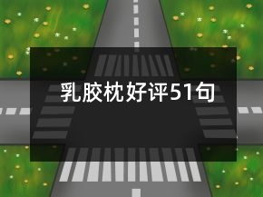 乳膠枕好評51句