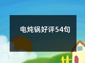 電燉鍋好評54句