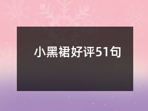 小黑裙好評51句