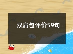 雙肩包評價59句