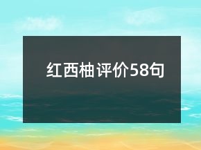 紅西柚評(píng)價(jià)58句