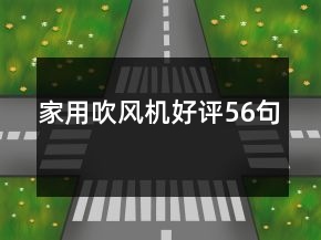 家用吹風機好評56句