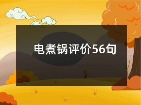 電煮鍋評價56句