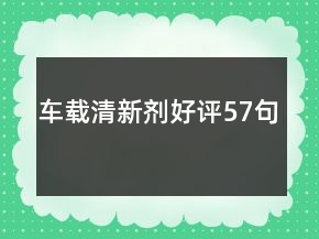 車(chē)載清新劑好評(píng)57句