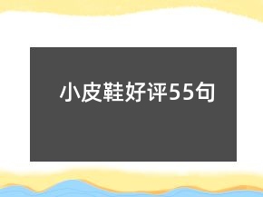 小皮鞋好評55句