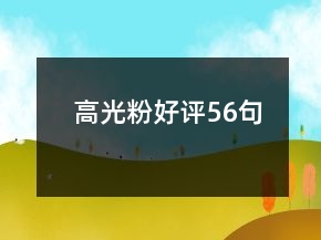 高光粉好評56句
