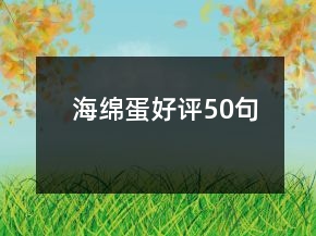 海綿蛋好評50句