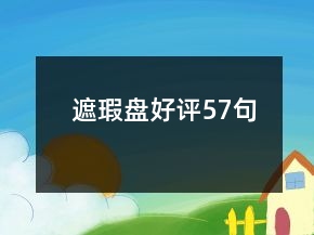 遮瑕盤好評(píng)57句