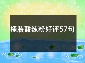 桶裝酸辣粉好評57句