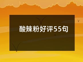 酸辣粉好評55句