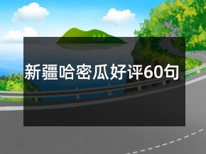 新疆哈密瓜好評(píng)60句