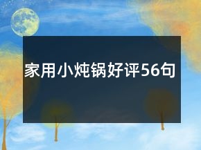 家用小燉鍋好評(píng)56句