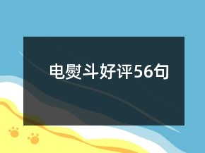 電熨斗好評(píng)56句