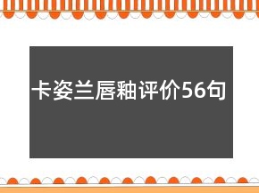 卡姿蘭唇釉評價56句