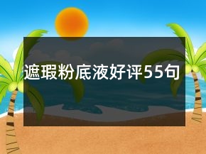 遮瑕粉底液好評(píng)55句