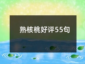 熟核桃好評(píng)55句