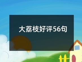 大荔枝好評56句