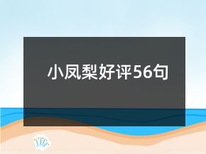 小鳳梨好評56句
