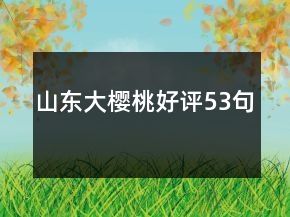 山東大櫻桃好評53句