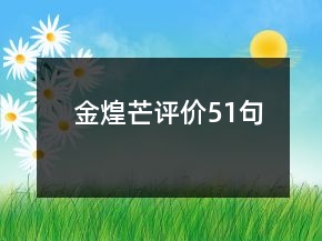 金煌芒評(píng)價(jià)51句