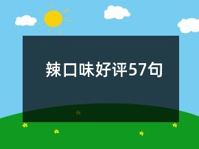 辣口味好評(píng)57句