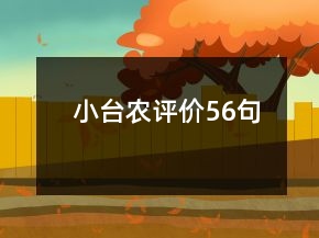 小臺(tái)農(nóng)評(píng)價(jià)56句