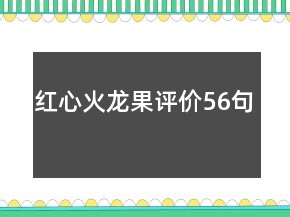 紅心火龍果評價(jià)56句