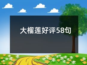 大榴蓮好評58句