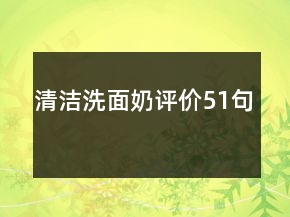 清潔洗面奶評價51句