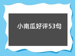 小南瓜好評(píng)53句