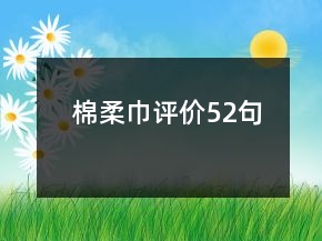 棉柔巾評(píng)價(jià)52句