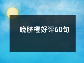 晚臍橙好評60句