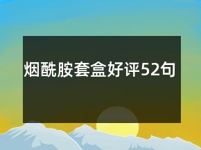 煙酰胺套盒好評52句