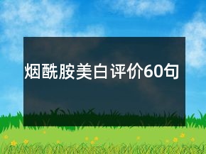 煙酰胺美白評價(jià)60句