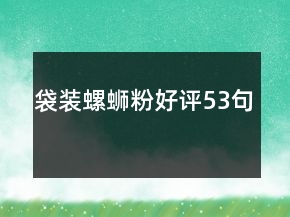 袋裝螺螄粉好評(píng)53句