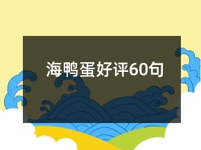 海鴨蛋好評60句