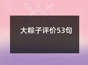 大粽子評(píng)價(jià)53句