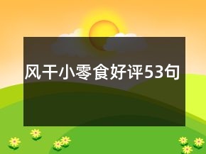 風(fēng)干小零食好評(píng)53句