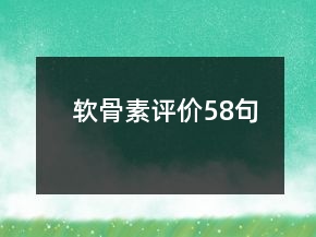 軟骨素評(píng)價(jià)58句