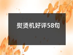 熨燙機好評58句