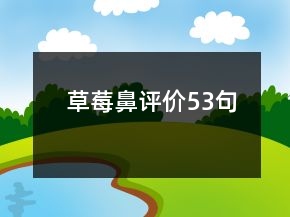 草莓鼻評價53句