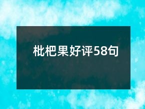 枇杷果好評58句