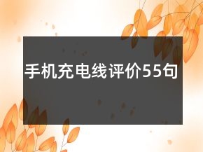 手機(jī)充電線評(píng)價(jià)55句
