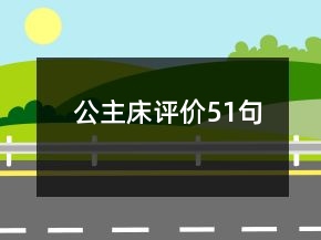 公主床評(píng)價(jià)51句