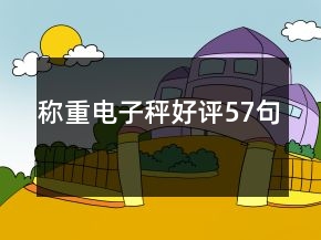 稱重電子秤好評57句