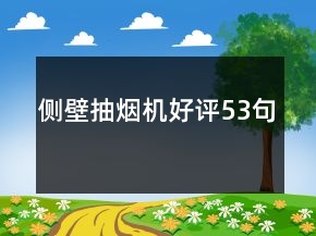 側(cè)壁抽煙機(jī)好評53句
