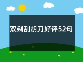 雙剃刮胡刀好評(píng)52句