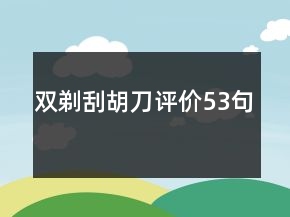 雙剃刮胡刀評價(jià)53句