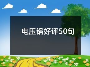 電壓鍋好評50句